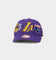 Mitchell & Ness Los Angeles Lakers Champs Pro Crown Snapback Purple