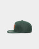 Mitchell & Ness Seattle Sonics 'Team Ground 2.0 Hardwood Classics' Fitted Green