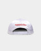 Mitchell & Ness Chicago Bulls '1991 Champions' Deadstock Snapback White