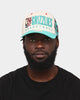 Mitchell & Ness Vancouver Grizzlies '90s Training Camp' Pro Crown Snapback Cream