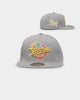 Mitchell & Ness Detroit Pistons 'Til Dawn' Fitted Grey