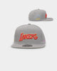 Mitchell & Ness Los Angeles Lakers 'Til Dawn' Fitted Grey