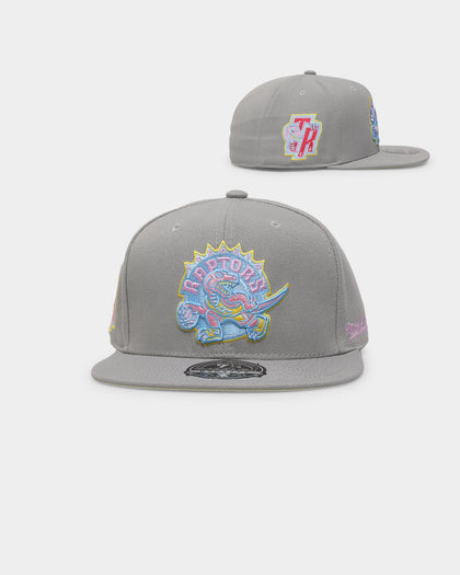 Mitchell & Ness Toronto Raptors 'Til Dawn' Fitted Grey