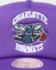 Mitchell & Ness Charlotte Hornets 'NBA Off The Backboard' Trucker Snapback Purple
