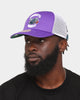 Mitchell & Ness Charlotte Hornets 'NBA Off The Backboard' Trucker Snapback Purple