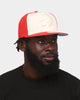 New Era Toronto Raptors 'Tonal Two-Tone' 59FIFTY Fitted Light Beige