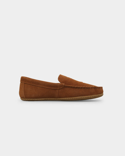 Polo Ralph Lauren Collins Bear Slipper SNF Suede