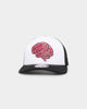 Puma Hometown Heroes X-Sports Trucker Puma Black