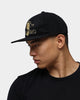 Mitchell & Ness Toronto Raptors Champions Deadstock Snapback Black