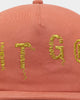 Honor The Gift D-Holiday HTG Weathered Strapback Terra Cotta