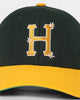 HUF Anniversary 6 Panel Snapback Green