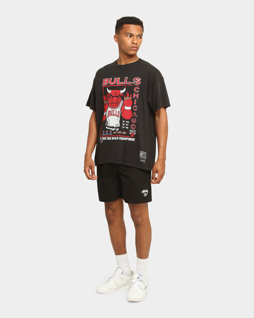 Stussy Basic Stock Beachshort Black