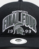 National Collegiate Athletic ASSC Michigan State Spartans Final Four Snapback Black